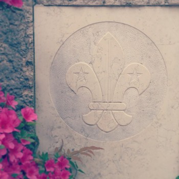 #scout #stone in my #garden in #cittadella #padova  #wosm #scouting #kudu