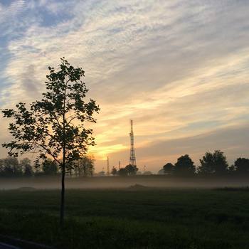 Simpatica la nebbia questa mattina #foggy #morning #padua #igerspadova