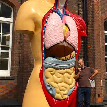 Gut feelings.

This odd sculpture in the city center inspires a lot of people. like fathers explaining (terribly wrong) anatomical concepts to their kids that are always super interested!

#Anatomy #exhibition #microbiome #gutmicrobiome #norwich